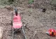 Bărbat de 30 de ani, ucis de un copac într-o pădure din Neamț. Salvatorii au încercat minute în șir să-i salveze viața