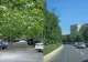 Copacii, „infrastructura” de care Bucureștiul are nevoie în verile tot mai fierbinți