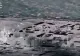 Ucraina a anunțat un nou val de atacuri cu drone. 127, doborâte
