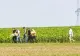 Cercetările la Padina, după doborârea dronei Shahed, au fost finalizate. Procurorii au deschis dosar penal