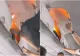 Panică într-un avion! O baterie externă a explodat în compartimentul de bagaje, iar pasagerii au filmat totul