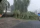 Prăpăd după furtuna de Cod Roșu din județul Sibiu: cartiere inundate, mașini strivite de copacii căzuți - VIDEO