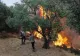 Primarul unui oraș din vestul Atenei, arestat preventiv în dosarul incendiului care a devastat peste 11.000 de hectare