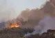 Incendiu devastator de vegetație: 45.000 de oameni afectați. Suspectul a fost arestat