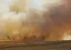 Incendiu de proporții în Mehedinți. Au ars zeci de hectare de pădure și vegetație – VIDEO