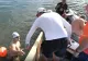 Maraton al solidarității: un român înoată 3 zile și 3 nopți fără oprire