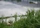 Alertă de inundații în Vaslui. Cod portocaliu pe râurile Prut și Sărata până la miezul nopții