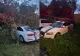 Rafale puternice de vânt în Satu Mare. Trei autoturisme, avariate de un copac căzut