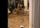 Bărbat din Prahova, cercetat după ce a distrus bunuri într-o pensiune din Dâmbovița. Pagubele ajung la 20.000 de lei