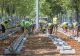 Încep lucrările care vor schimba transportul din București. Prima șină de tramvai a fost montată pe unul dintre cele mai importante trasee