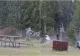 Cum se simte turistul de 65 de ani care a fost atacat de un bizon. Victima a fost aruncată la peste doi metri în aer 