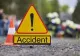 Pui de urs găsit mort pe autostrada A10 Sebeş-Turda. Animalul ar fi fost lovit de un autovehicul-FOTO