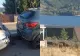 Accident rutier pe DN 57, după ce mai multe vaci au ajuns pe șosea. Proprietarul animalelor a fost amendat