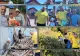 AUR desfășoară campania „August – Luna faptelor bune”. Acțiuni de sprijin pentru românii aflați în dificultate, în întreaga țară