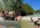 Bragadiru, loc de relaxare pentru nepalezii din București? Imaginile care au devenit virale pe TikTok