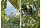Descoperire tragică în Maramureș: un bărbat dat dispărut în urmă cu o lună a fost găsit fără viață în râul Ruscova