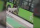 Două capre au devenit celebre pentru umanitatea lor. Au urcat „civilizat” în autobuz