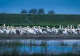 Undă verde pentru lucrări în Delta Dunării. Două canale vor fi curățate după aprobarea oficială