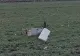 Explozie puternică în Republica Moldova: fragmente ce ar putea proveni de la o dronă de luptă, găsite la Crocmaz