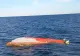 Alertă la Costinești: un corp de dronă, găsit în Marea Neagră. MApN: Nu avea explozibili