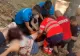 Turistă accidentată pe munte, salvată de jandarmii montani