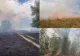 Incendiile de vegetație fac prăpăd în România. Fermierii sunt disperați. ”Absolut tot a ars”-VIDEO