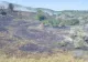 Incendiu de vegetație în Buzau. A fost emis un mesaj RO-Alert din cauza fumului dens