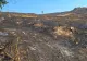 Incendiu la o fermă din județul Vaslui. 30 de hectare de pădure și vegetație uscată au fost mistuite de flăcări