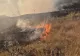 Incendiu puternic în județul Vaslui. Peste 20 de hectare de vegetație uscată au fost mistuite de flăcări 