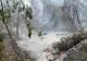 Incendiu de pădure lângă Plauru, în județul Tulcea. Romsilva: ”Localnicii spun că ar fi fost provocat de o dronă”-VIDEO