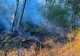 Incendiile de vegetație au făcut ravagii în Hunedoara.Peste 60 de hectare, mistuite de flăcări