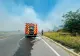 Incendiu puternic în județul Giurgiu. Flăcările au mistuit șapte hectare de vegetație, iar fumul s-a extins până pe DN 5-FOTO