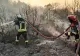 Incendii în Grecia: pompierii români au salvat mai multe locuințe și o mănăstire din calea flăcărilor FOTO&VIDEO