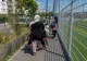 Elveția schimbă strategia și începe să trimită migranți înapoi în Italia. Decizia vine după aproape patru ani