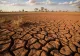 Scumpirea și raționalizare alimentelor, pericolul iminent. El Niño pune presiune pe agricultura și economiile din toată lumea