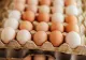 Focar record de salmonella în Belgia. Peste 300 de persoane au fost infectate