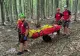 Panică pentru un pădurar: un copac tăiat s-a prăbușit peste el
