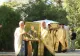 Doamna Maria Brâncoveanu, cinstită prima dată ca sfântă. Pelerinaj plin de emoție la Biserica Sfântul Gheorghe Nou din București