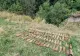 Arsenal din Al Doilea Război Mondial la Tușnadu Nou: Pirotehniștii au ridicat 82 de bombe neexplodate