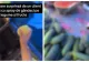O vânzătoare a fost filmată în timp ce pulveriza spray împotriva insectelor pe legume. Explicația femeii a stârnit controverse