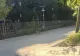 Vulpe la plimbare pe o arteră importantă din București. Imagini surprinzătoare la un loc de joacă - FOTO