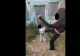 Caz grav în Mangalia: o adolescentă de 15 ani, lovită cu bestialitate de alte tinere. Una dintre ele a fost arestată pentru 30 de zile