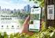 Asociația Re-Autentic și InfoCons dezvoltă o aplicație web pentru inventarierea arborilor din orașele României