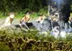 Alertă majoră la baza RAF Fairford, folosită de SUA. Cinci bărbați, arestați pentru suspiciuni de terorism și infracțiuni cu explozibili - VIDEO