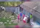 Adolescentă de 14 ani, bătută de o vecină sub ochii tatălui