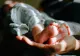 România pierde populație într-un ritm alarmant. Într-o singură lună au murit cu peste 5.000 de oameni mai mulți decât s-au născut