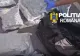 Captură uriașă de droguri în Ilfov. 21 de kilograme de canabis găsite în mașina unui dealer