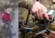 Bunică din Ucraina dezamorsează o dronă rusească cu fibră optică din câteva mișcări. Imaginile au devenit virale