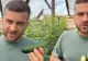 Un fermier din Galați a ajuns să dea castraveții gratis. Motivul: îl costă mai mult să-i culeagă decât primește pe ei - VIDEO