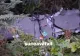Dronă prăbușită în județul Suceava, în apropierea localității Solca. Alerte aeriene și în Botoșani: precizările MApN - FOTO&VIDEO